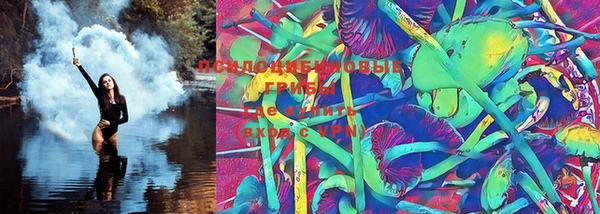 круглые Сясьстрой